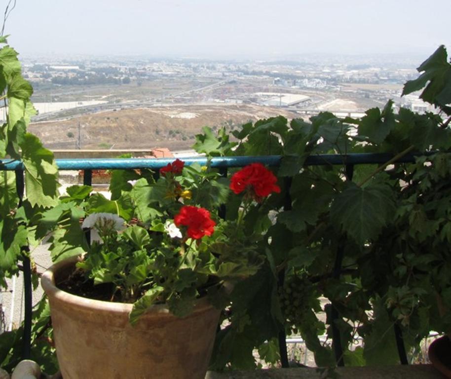 Appartement The Artist'S House Overlooking The Bay Of Haïfa Extérieur photo